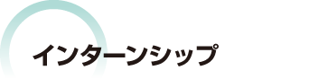 キャリアインターンシップについて